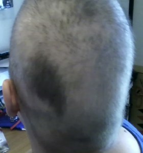 Moo, bitches! MOOOOOOO